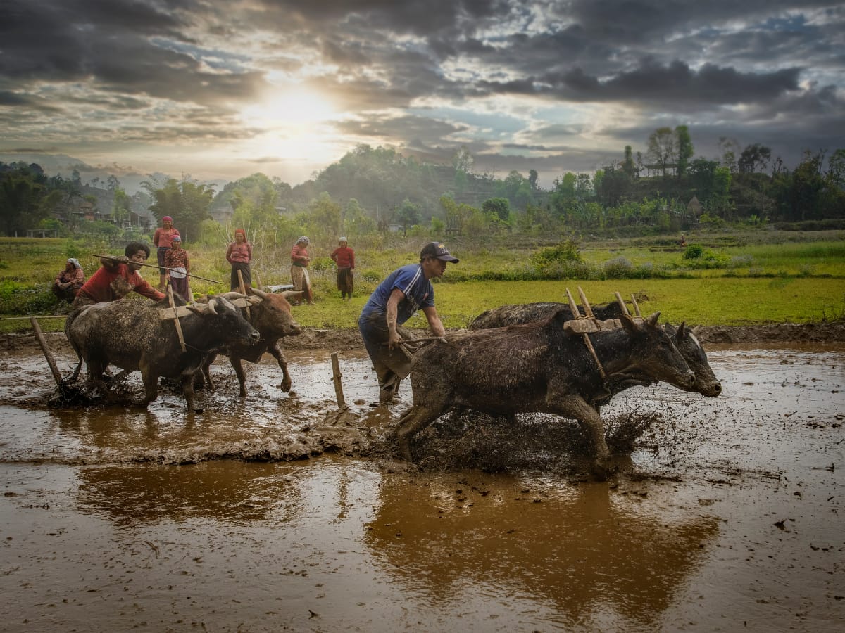 Over 25 crore Soil Health Cards distributed to farmers, Rs 1,706 crore released for scheme
