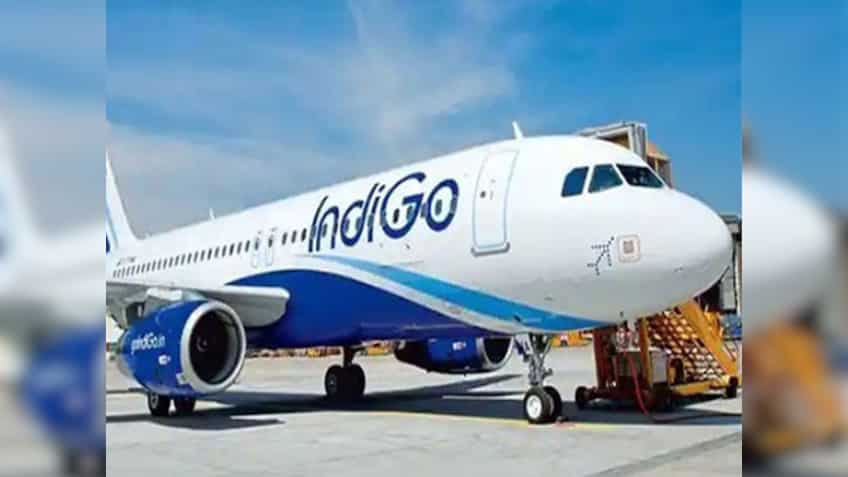 Kolkata-bound IndiGo plane forced to return to Nagpur after bird strike