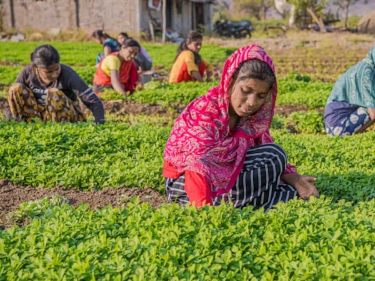 'BHARATI' to empower 100 agri-food startups, target $50 billion exports by 2030