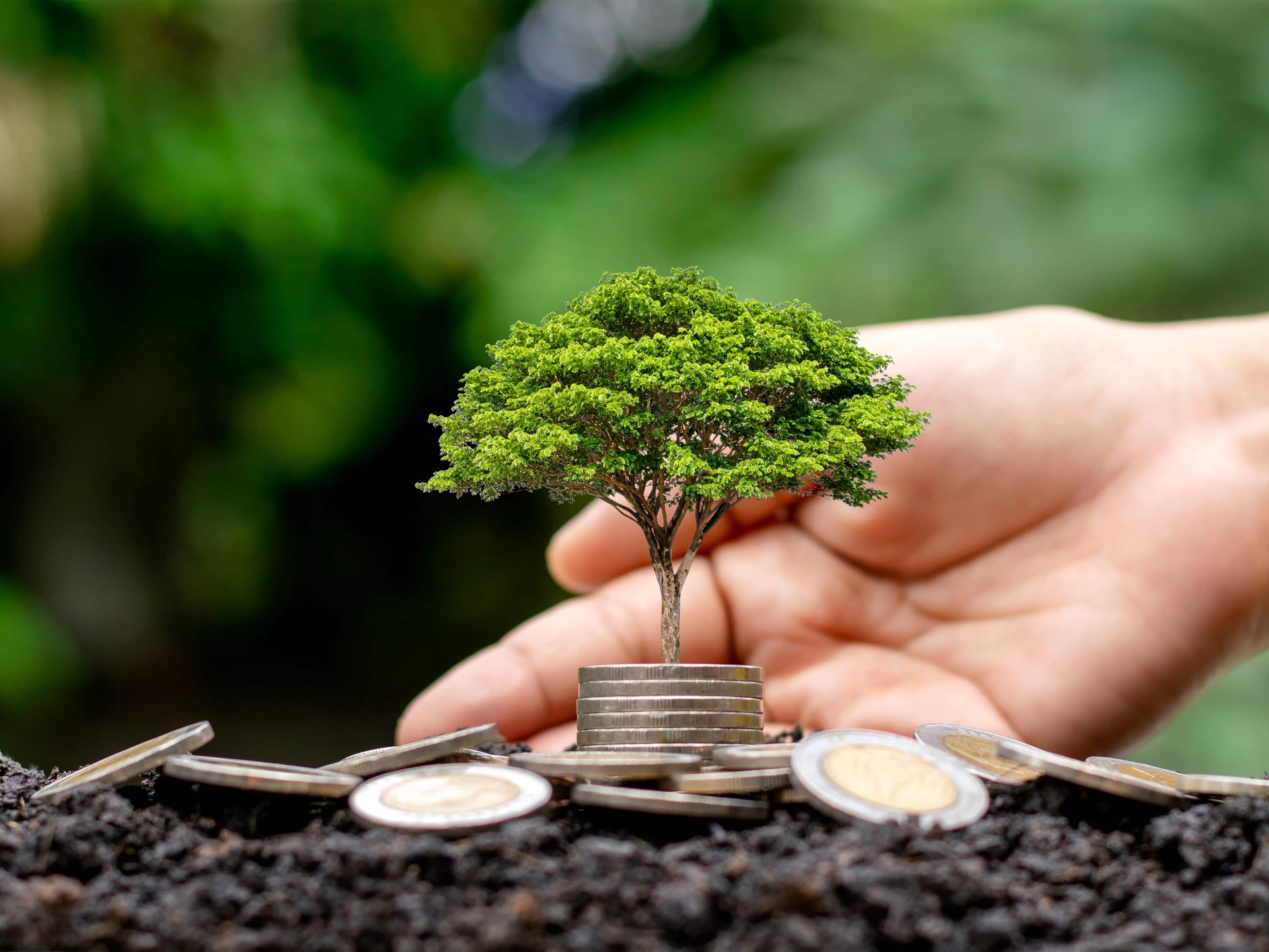 Estimated capital gains SIP retirement: What may be the capital gains with a Rs 9,000 monthly SIP?