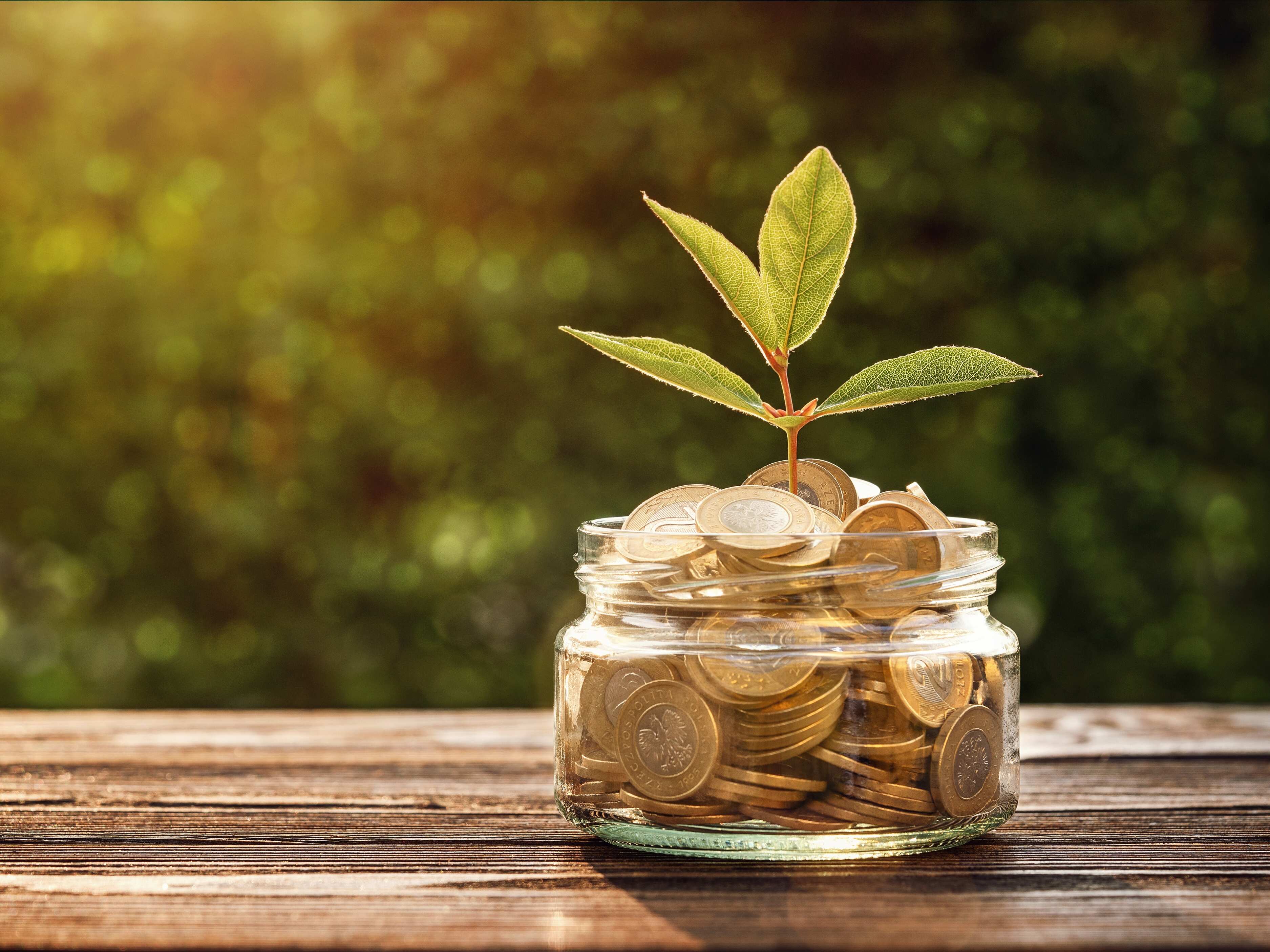 SIP: Understanding risks
