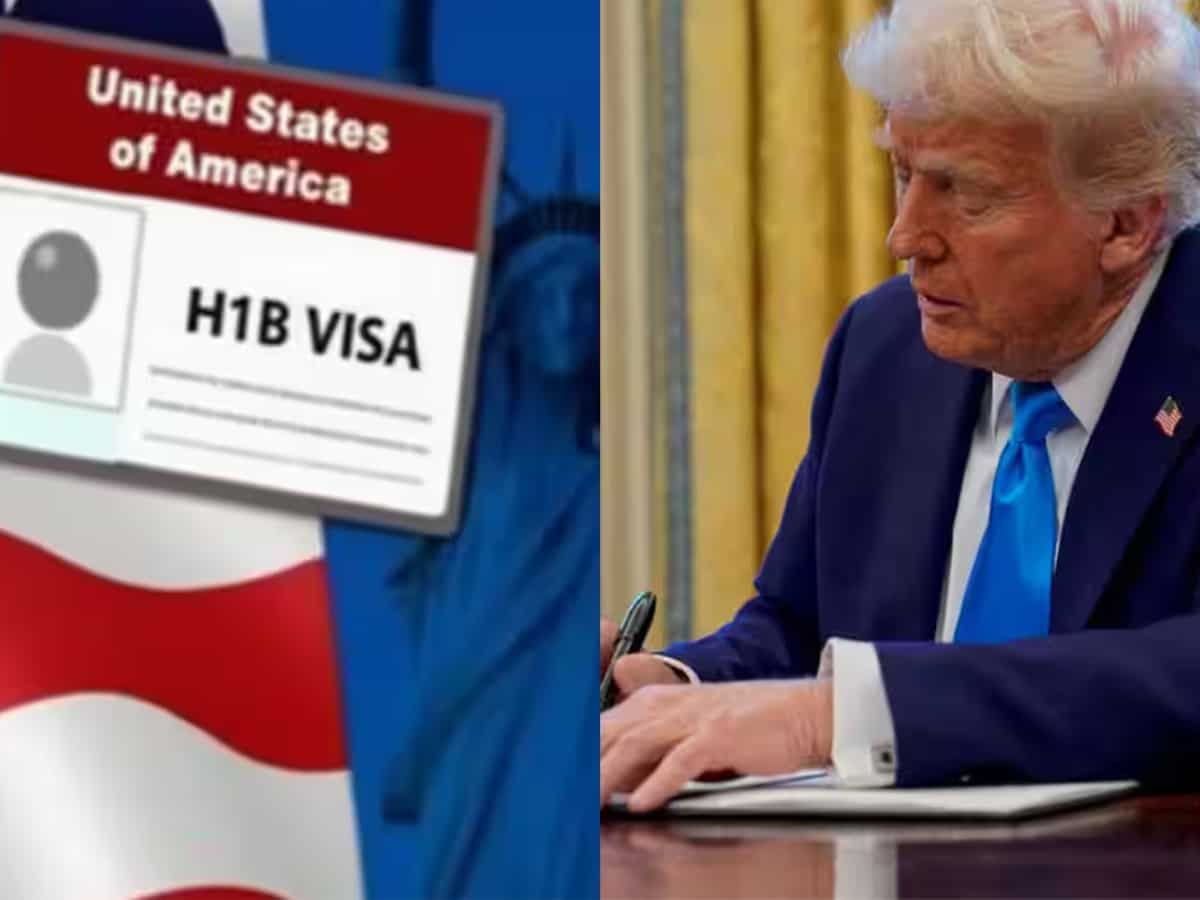 Explained: Why Indian IT companies may easily digest H-1B fee hike, Anil Singhvi weighs in