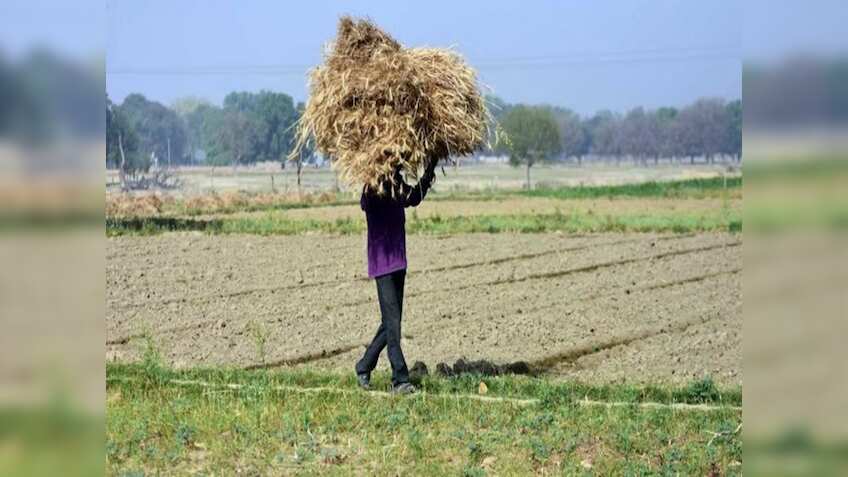 Centre approves Rs 13,890-crore procurement of pulses and oilseeds from UP, Gujarat
