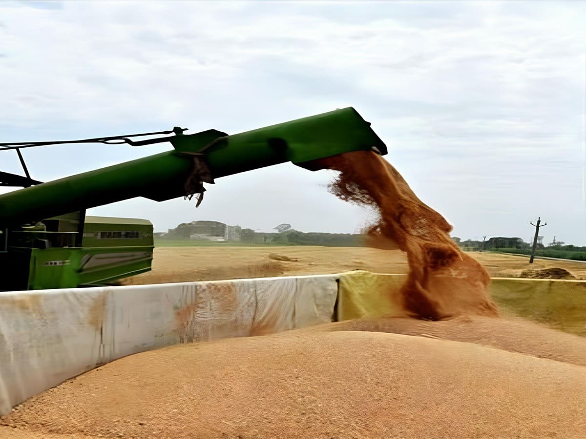 Rabi MSP hike expected to have limited effect on inflation: ICICI Report