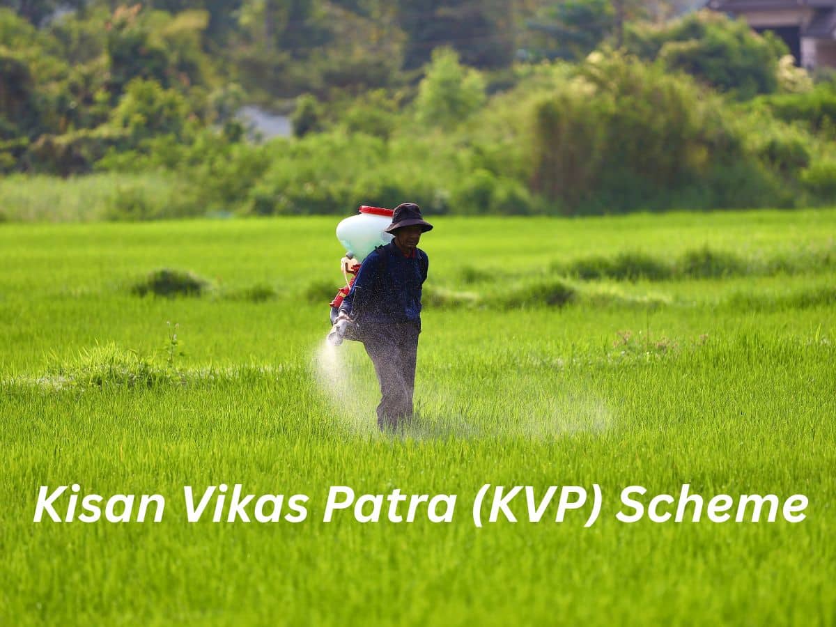 KVP: This small savings scheme doubles your money in 9.5 years—Interest, minimum investment, other key details