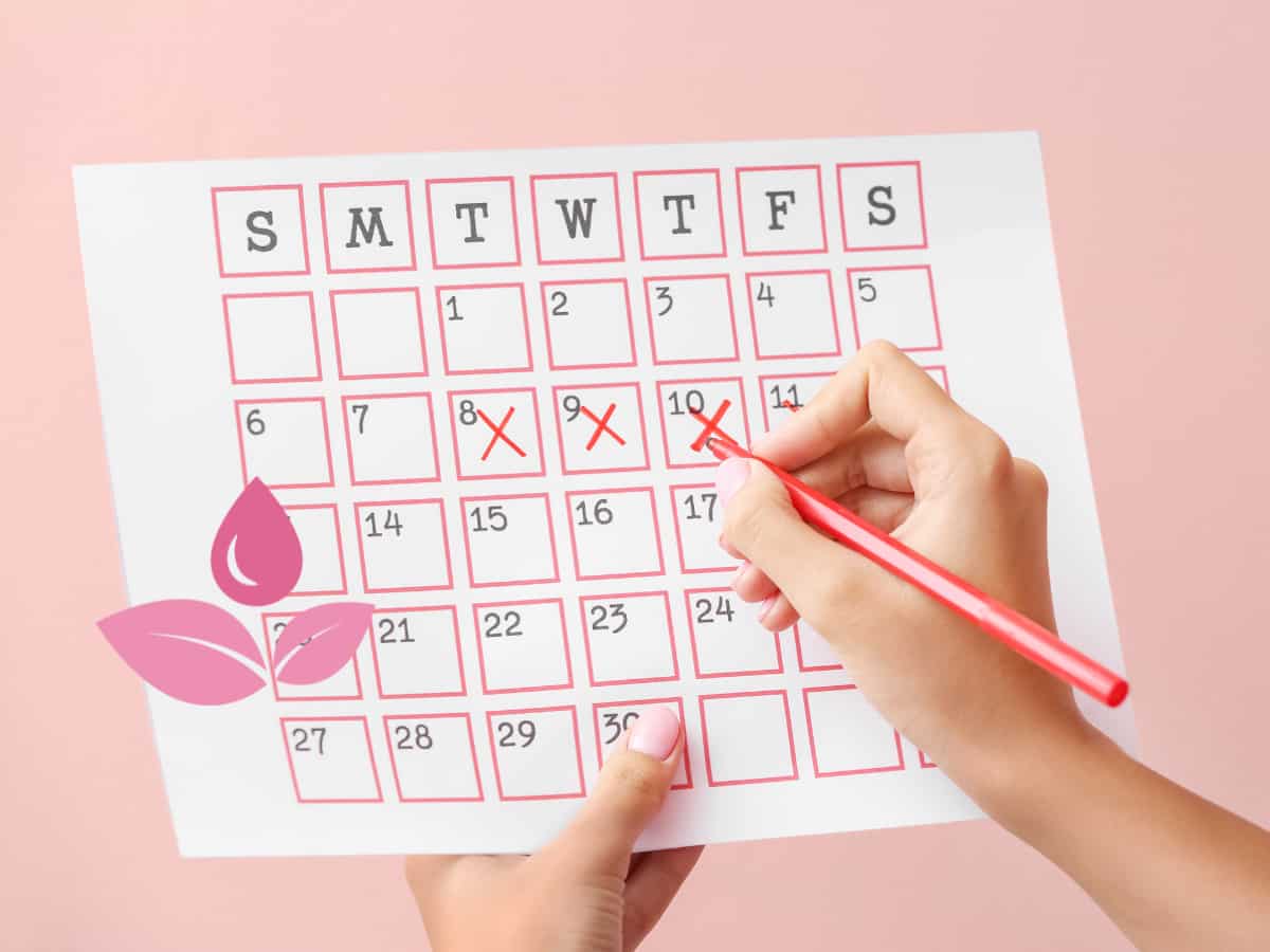 One Paid Leave a Month: Karnataka becomes first state to roll out menstrual leave policy for women in govt, private sectors