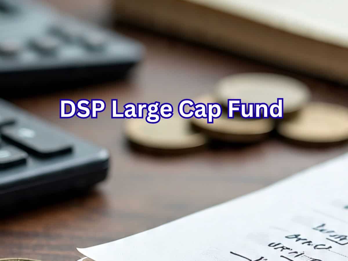 DSP Large Cap Fund