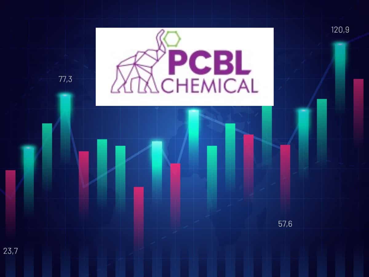 PCBL Chemicals Q2 Results: 50% decline in net profit, 600% dividend payout - Check record date