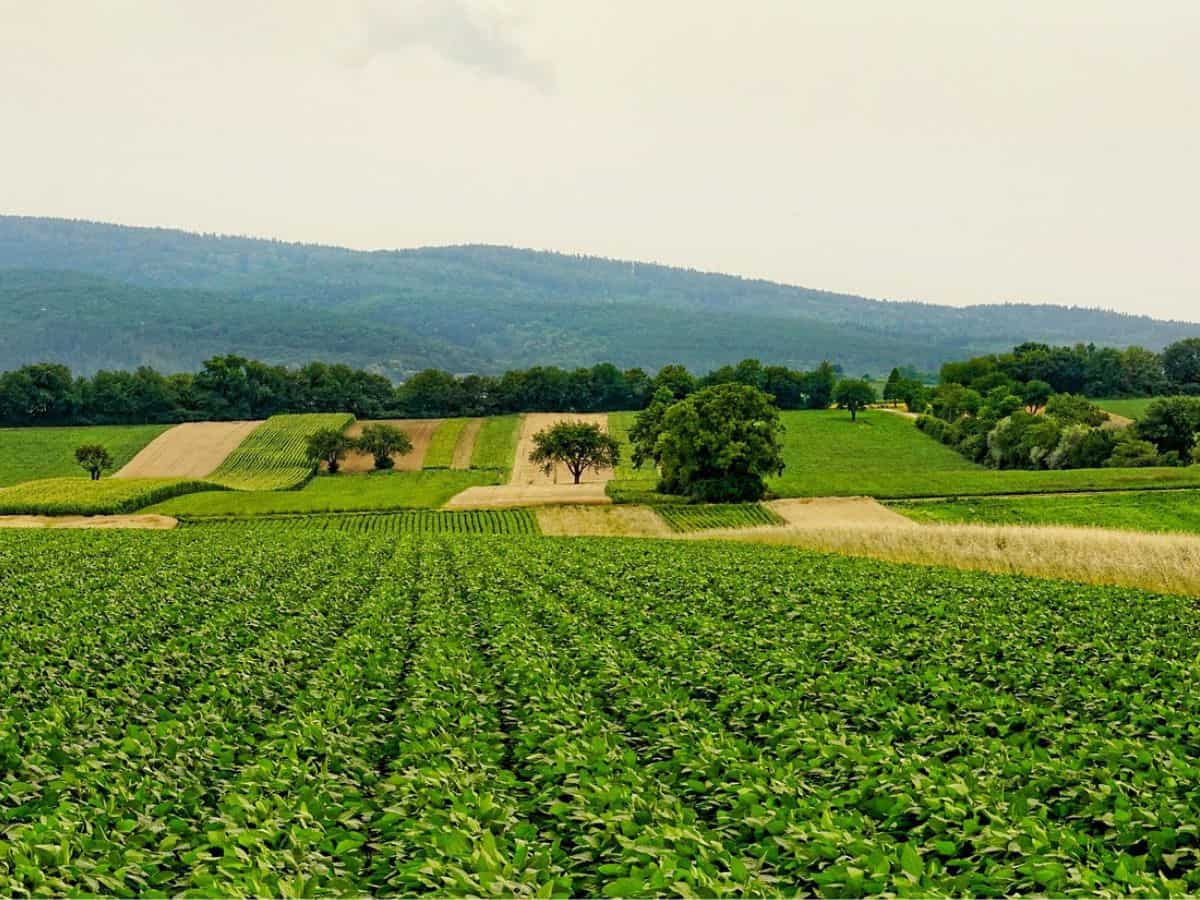 Economy continues to gain momentum on GST 2.0, festive season, says Finance Ministry—10 key takeaways