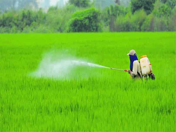 Rabi season 2025-26 nutrient-based fertiliser subsidy rates cleared by Cabinet: Key takeaways