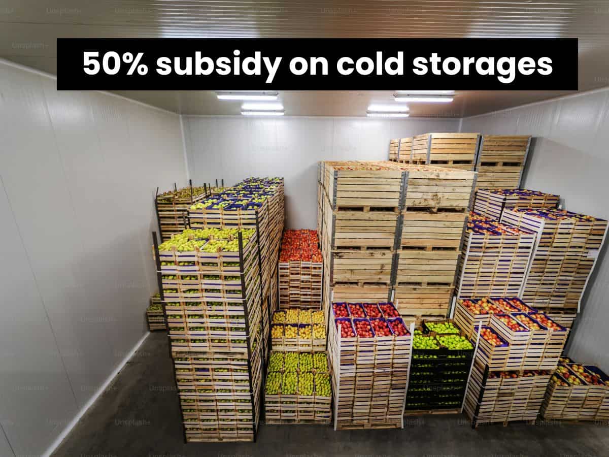 Store Smart, Earn More: This govt scheme offers up to 50% subsidy on cold storages—Eligibility criteria and how to apply