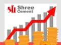 Shree Cement share price rises amid mixed brokerages'