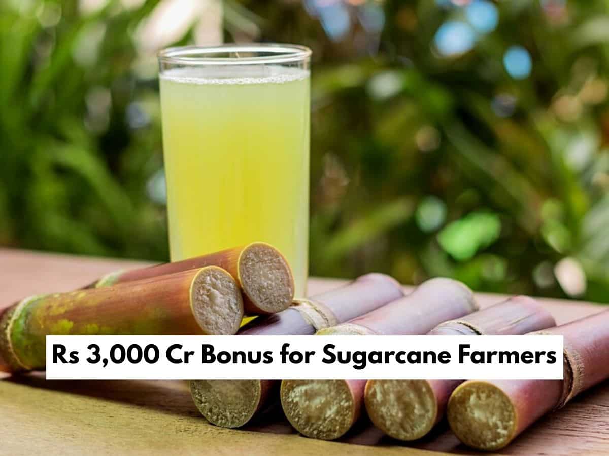 Yogi government hikes sugarcane price by Rs 30 per quintal; farmers to gain Rs 3,000 crore