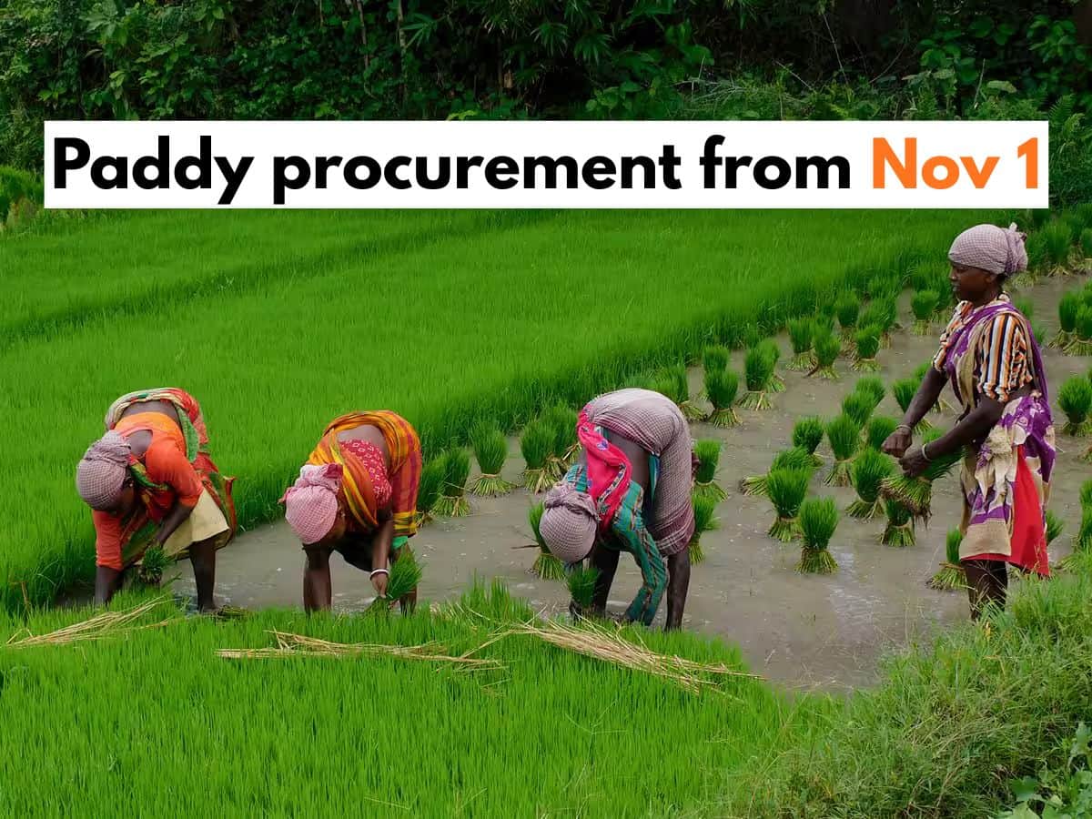UP paddy procurement begins soon; 2+ lakh farmers registered--Eligibility, rate, payment, other key things to know
