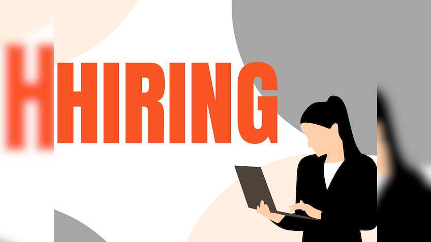 India’s white-collar hiring steady in October; education, finance, tech sectors see strong growth