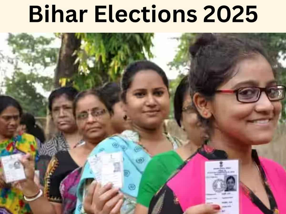 Bihar Elections 2025: Here's how to check your name in voter list—A step-by-step guide