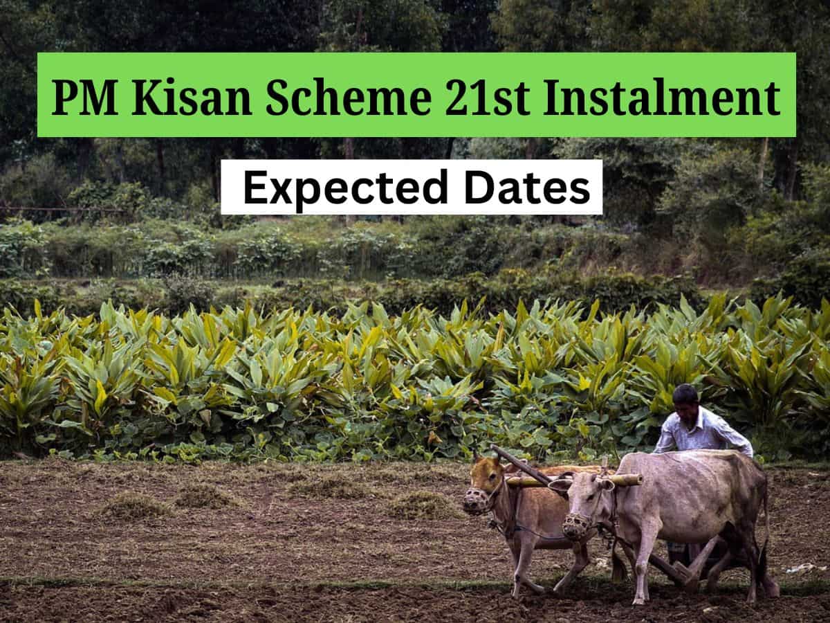 PM Kisan Scheme 21st Instalment: Have you done e-KYC? If not, here's a step-by-step guide