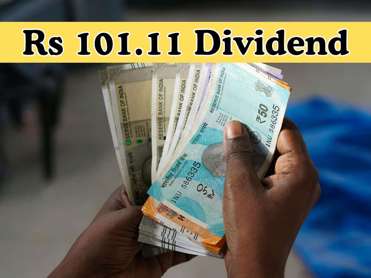 Rs 101.11 Dividend:10 stocks turn ex-date today—Full list
