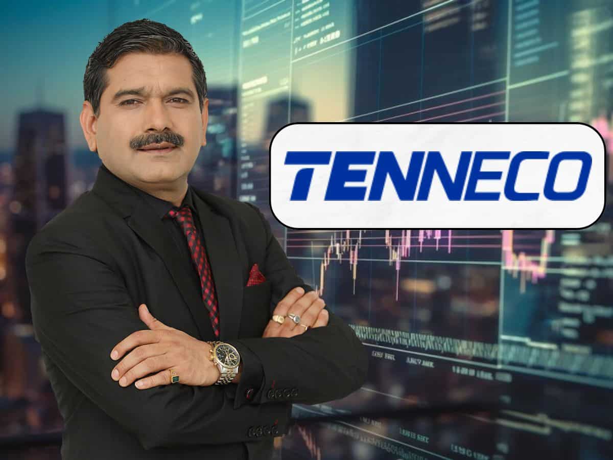 Tenneco Clean Air IPO: Should you apply? Market guru Anil Singhvi weighs in
