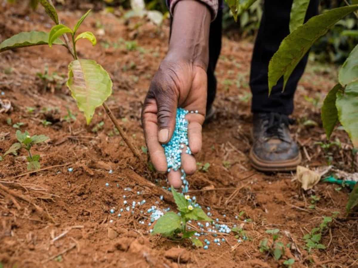 Explained: What Draft Seeds Bill means for farmers and seed sector