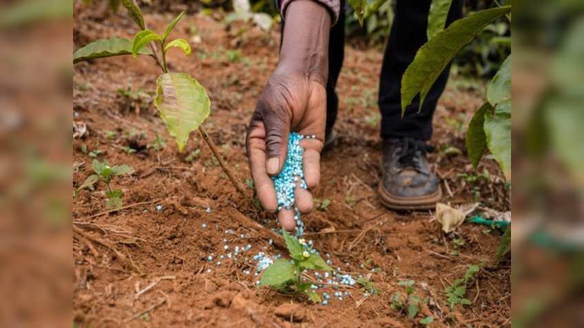 Explained: What Draft Seeds Bill means for farmers and seed sector