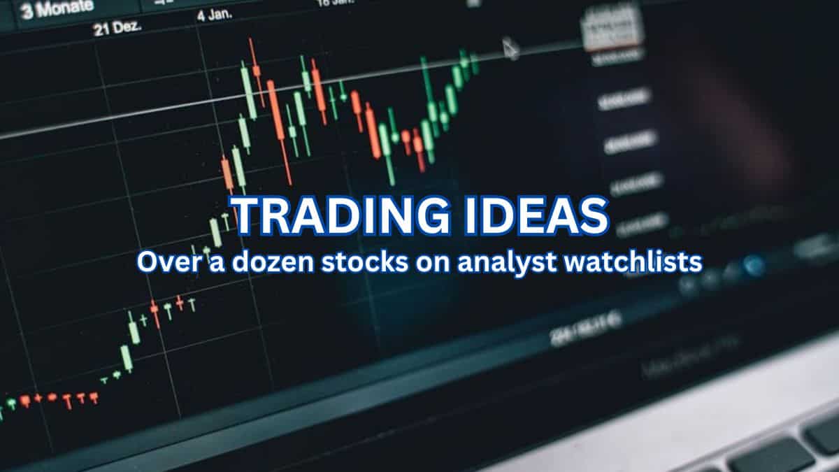 Buy for Long Term: How analysts view TCS, Deepak Fertilisers, Escorts Kubota stocks as fundamental picks