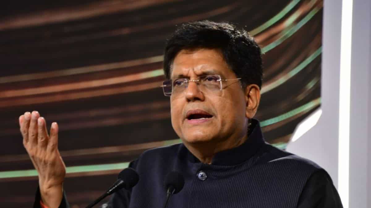 Piyush Goyal discusses FDI, FII policies with stakeholders; here's what we know