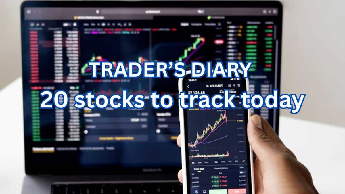 Stocks to Buy for 6 Months: How analysts view NETWEB, DEEPAKFERT as fundamental picks now