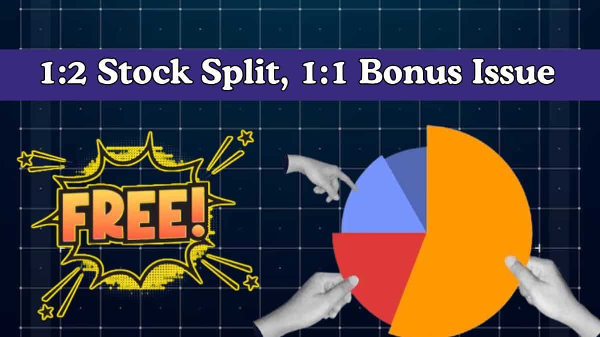1:2 Stock Split, 1:1 Bonus Issue: This chemical company sets record date—Do you hold shares?