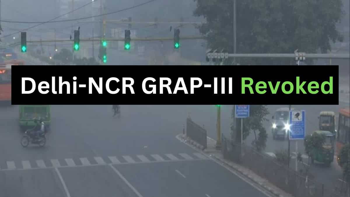 Delhi-NCR GRAP-III Revoked: Govt lists key citizen actions for pollution control as AQI improves