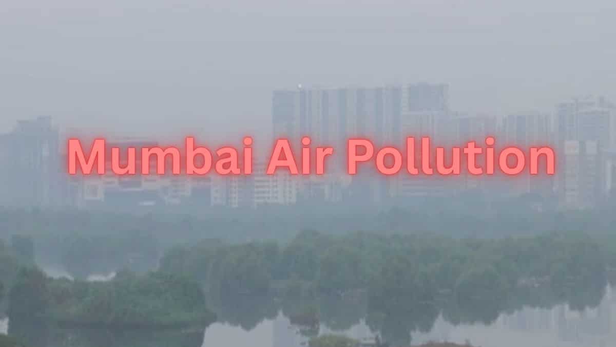 Mumbai Air Pollution: Bombay High Court forms five-member team to monitor construction sites