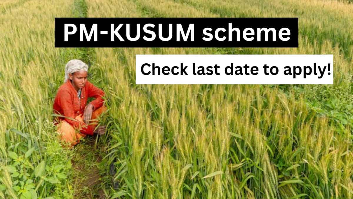 Haven’t applied for PM-KUSUM scheme yet? Know the last date, subsidy amounts and other key details