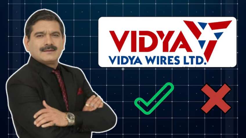 Vidya Wires IPO Now Open: Should you subscribe? Anil Singhvi shares opinion