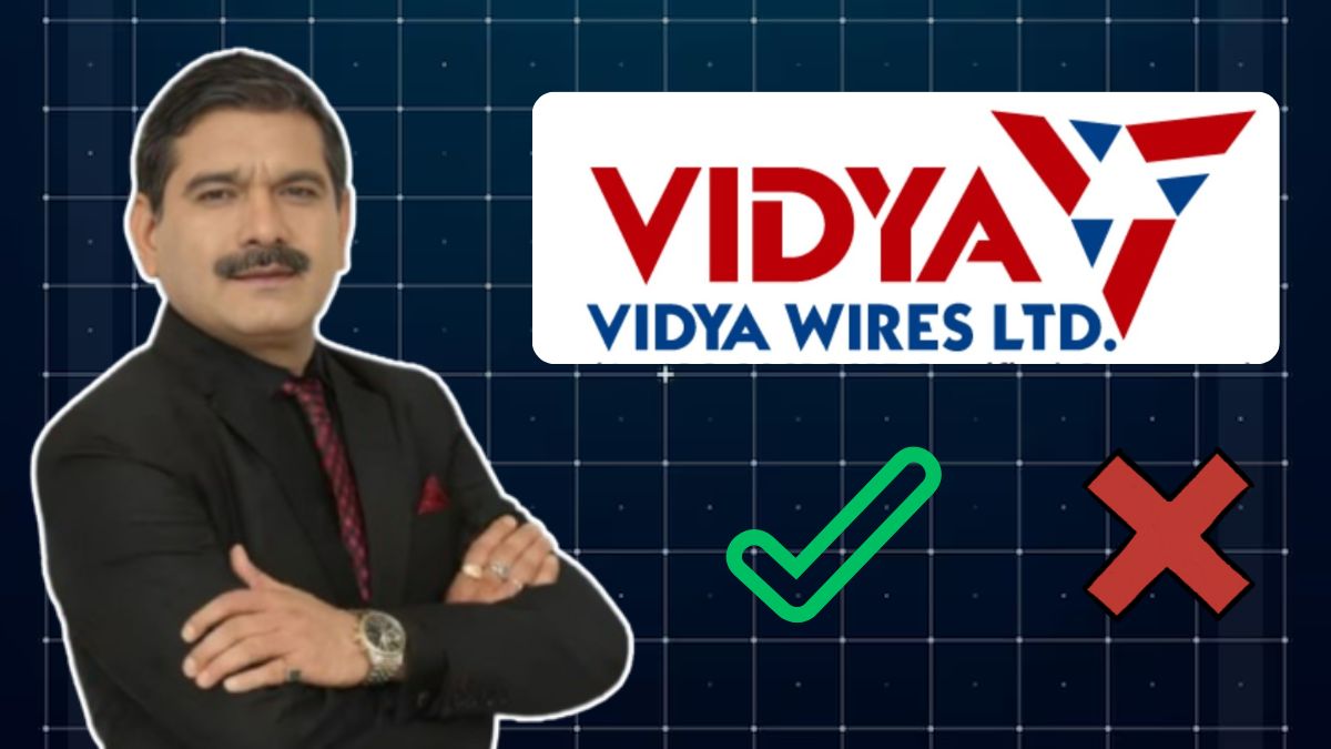 Vidya Wires IPO Now Open: Should you subscribe? Anil Singhvi shares opinion