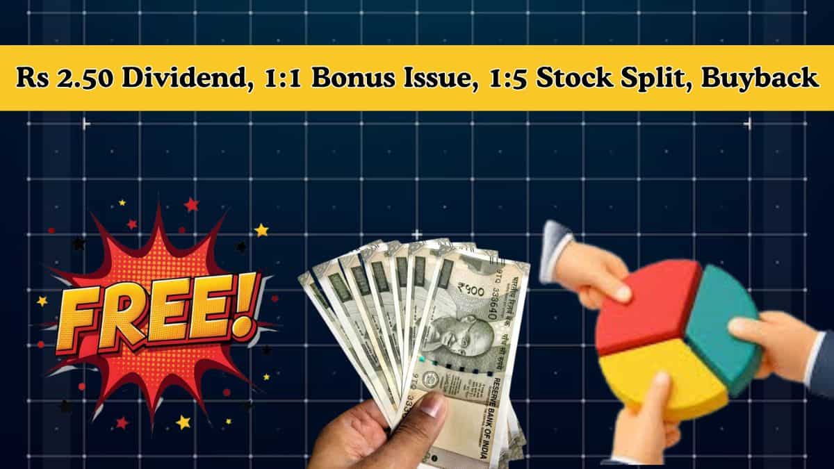 Rs 2.50 Dividend, 1:1 Bonus Issue, 1:5 Stock Split, Buyback: 6 Stocks to turn ex-date next week—FULL LIST