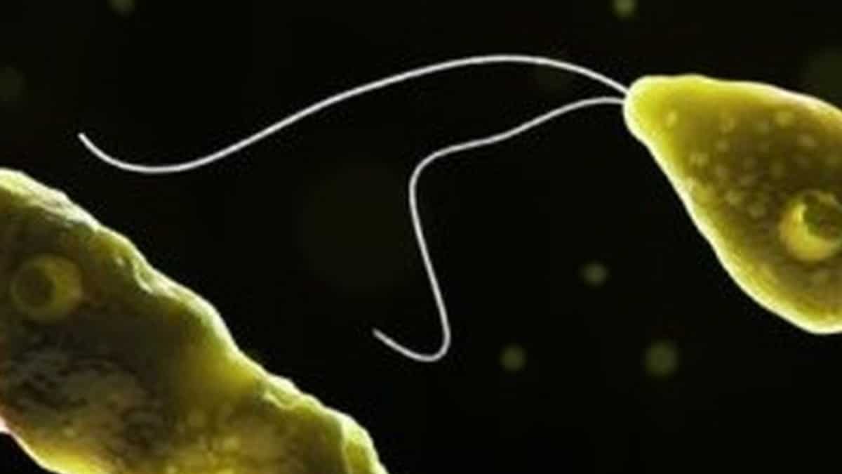 Kerala reports 170 brain-eating amoeba cases, 42 deaths in 2025