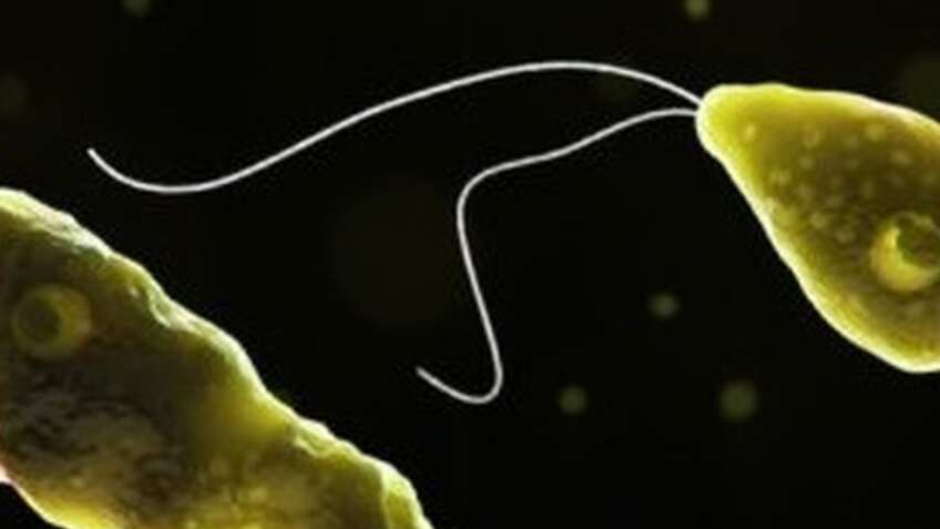 Kerala reports 170 brain-eating amoeba cases, 42 deaths in 2025