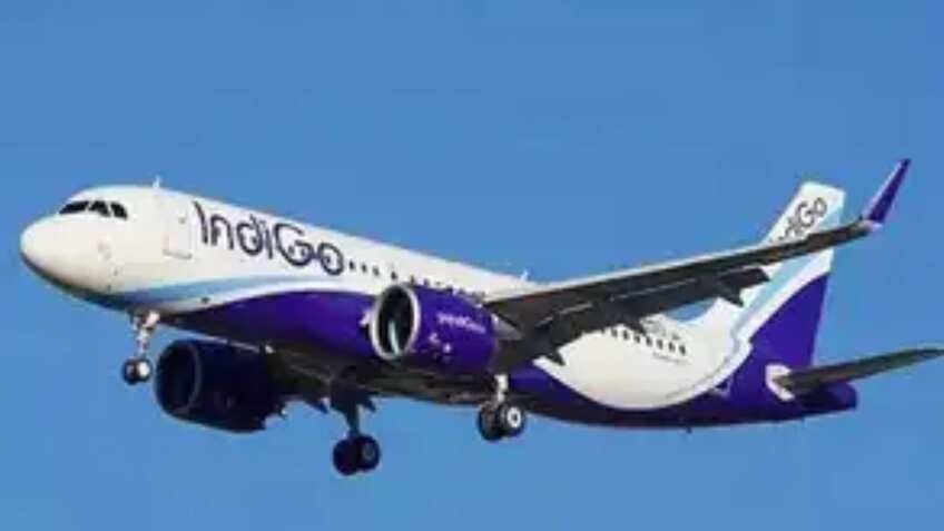 IndiGo slapped with show cause notice; CEO asked to respond within 24 hours