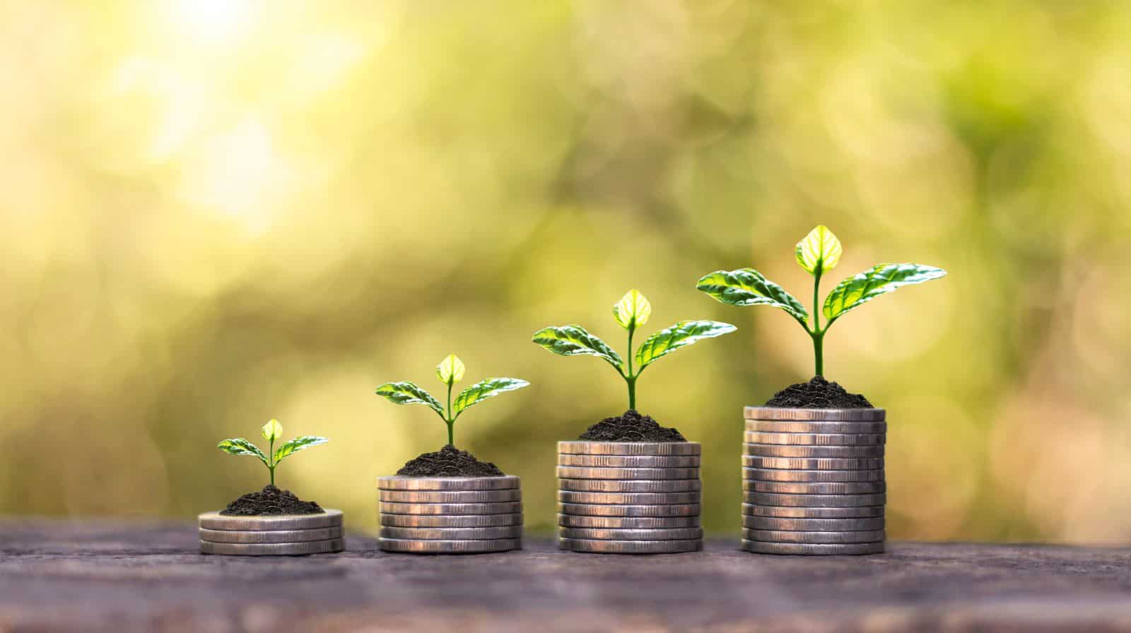 HDFC FD Interest Calculation: What is the return on Rs 13 lakh FD in 5 years?