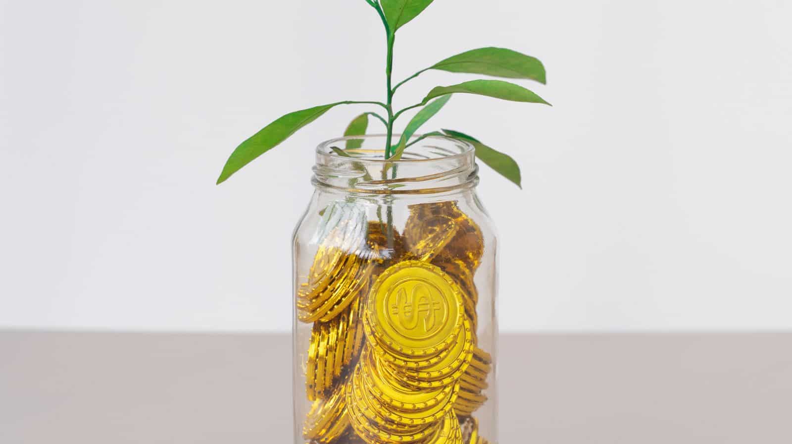 Post Office FD Interest Calculation: Rs 13 lakh investment