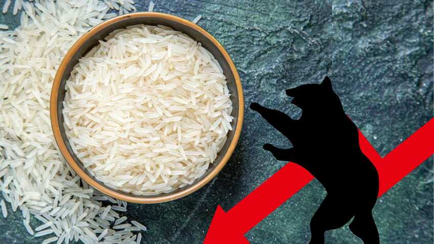 Why are KRBL, LT Foods, AWL Agri Business and other rice stocks falling today?