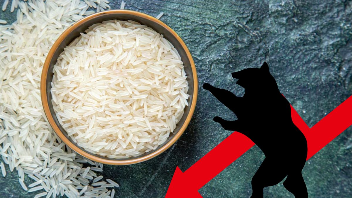 Why are KRBL, LT Foods, AWL Agri Business and other rice stocks falling today?