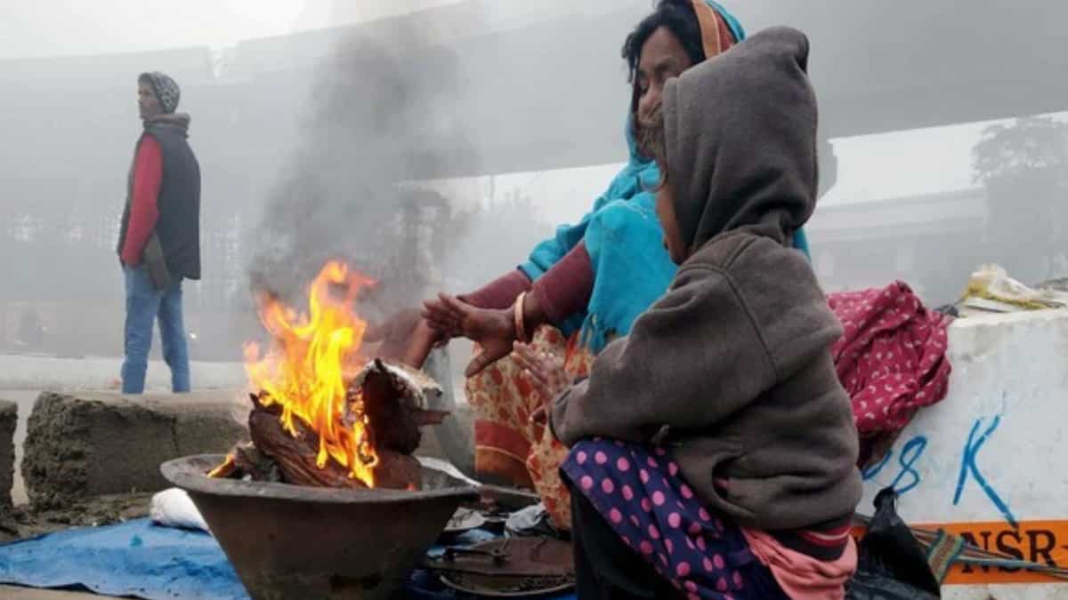 Yellow alert in five districts as Rajasthan faces intense cold wave