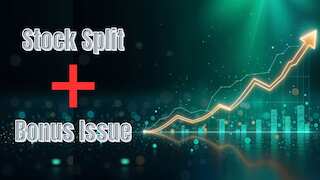 3:1 Bonus Issue + 1:10 Stock Split: Chemical firm announces double delight for shareholders - Check record date