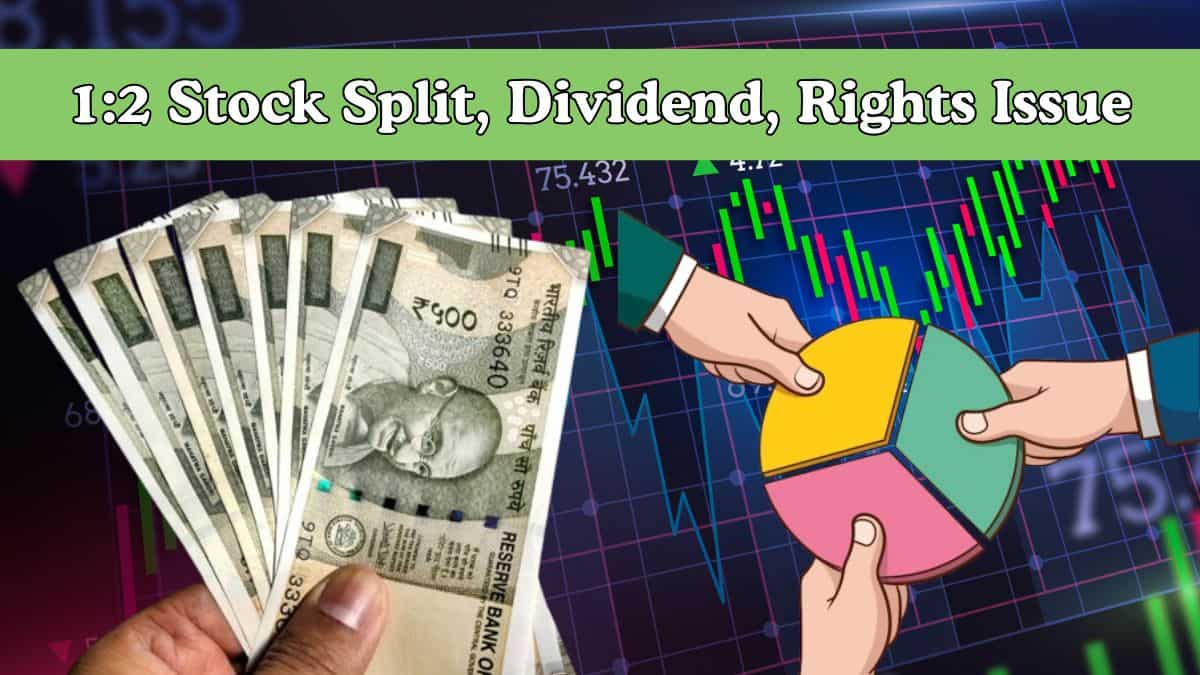 1:2 Stock Split, Dividend, Rights Issue: 3 stocks turn ex-date today—Full List