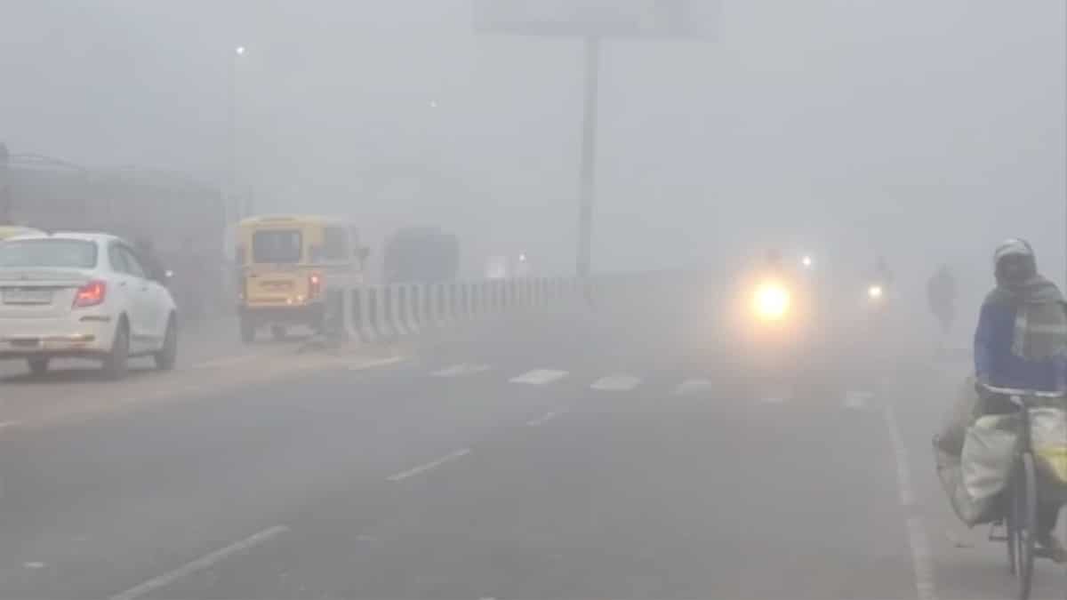 Dense fog blankets Rajasthan, cold wave grips Telangana; IMD issues alert