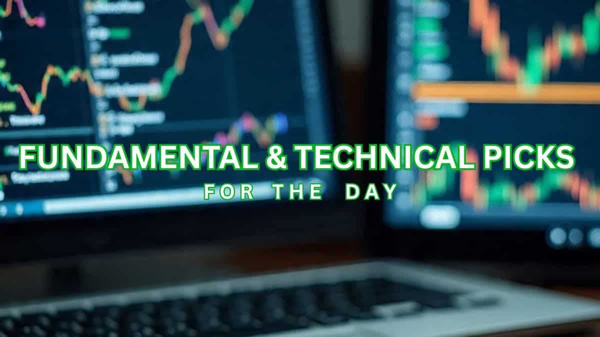 Stocks to Buy: Dalmia Bharat, LG Electronics, NMDC among analysts' fundamental picks now