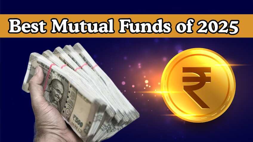 Top Mutual Funds of 2025: Where investors saw the highest returns, expert weighs in