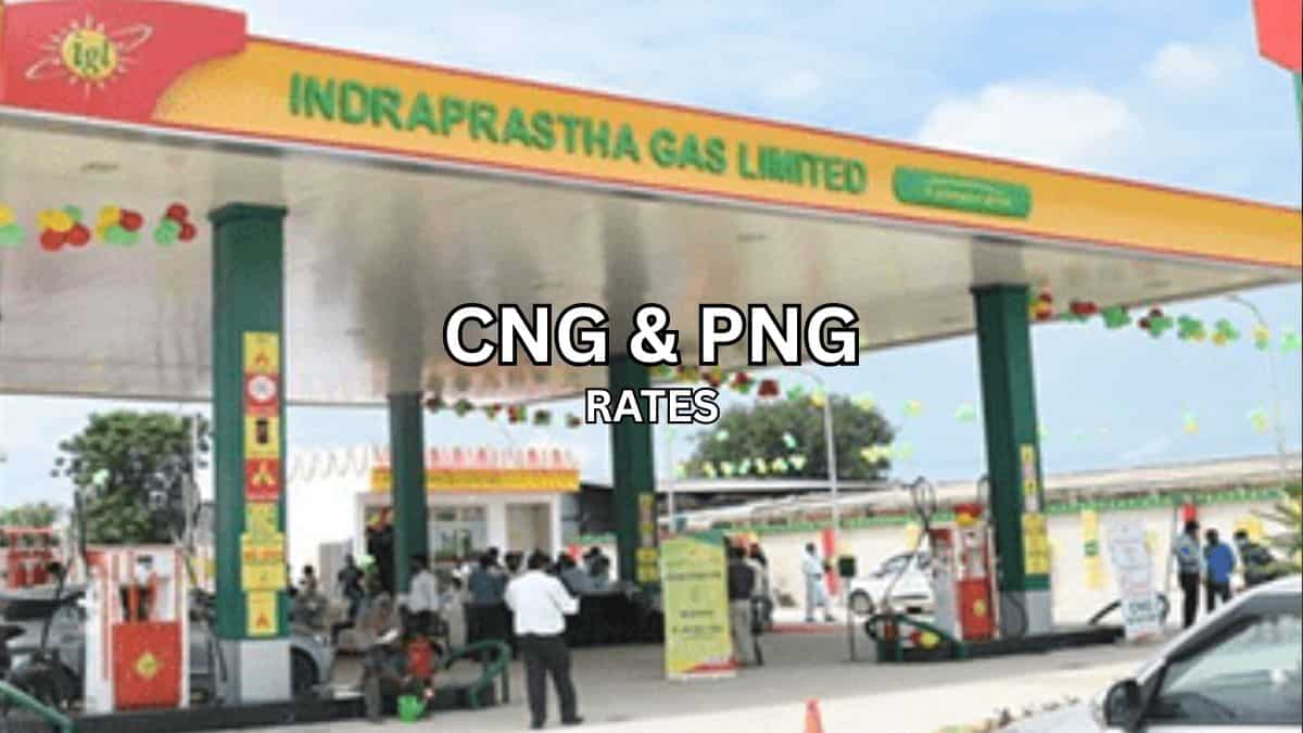 New Year gift for IGL consumers! CNG, PNG rates cut from Jan 1 in line with 'One Nation One Tariff' vision