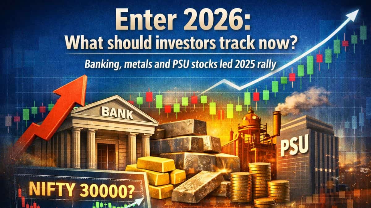 Enter 2026: What should investors track now? Banking, metals and PSU stocks led 2025 rally